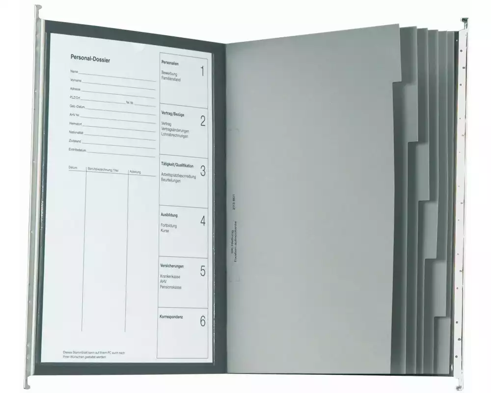 Biella Hängeregister Original Personaldossier Grau, 10 Stück