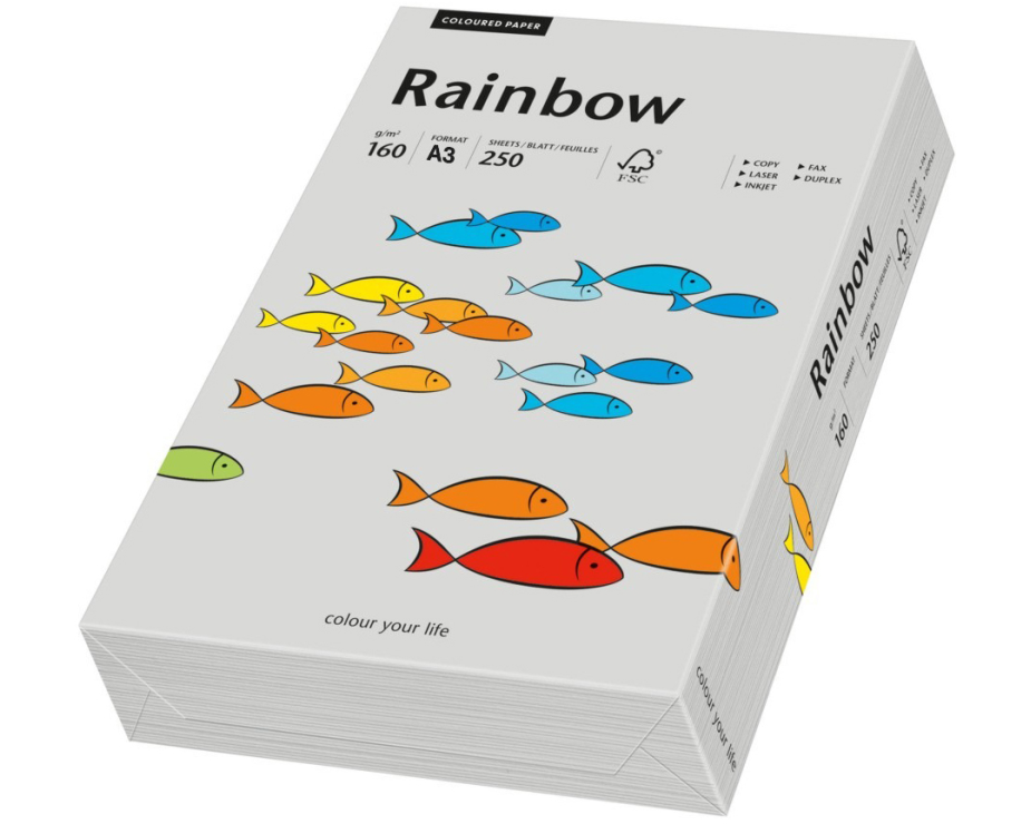 RAINBOW Papier grau/96 A3 88042814 FSC, 160g 250 Blatt