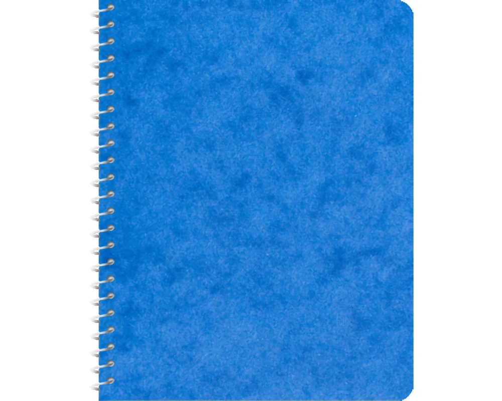 novooo. Notizbuch 9.1×12.1 cm, 4 mm kariert 70g assortiert