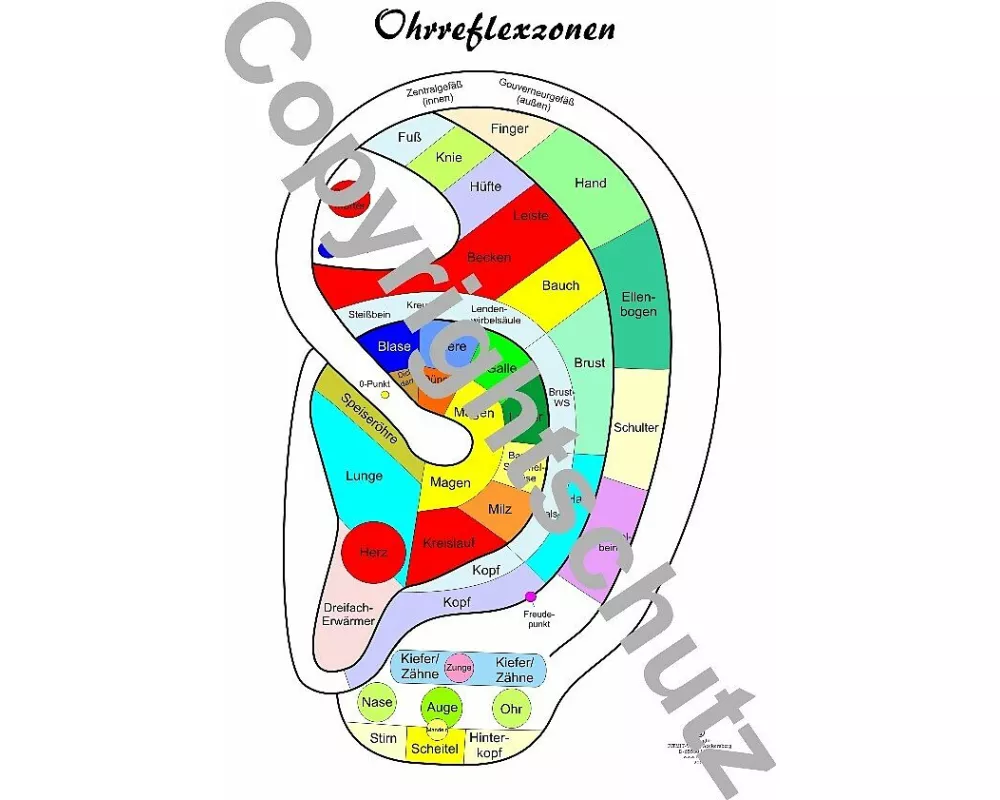 Reflexzonenübersicht - Ohr