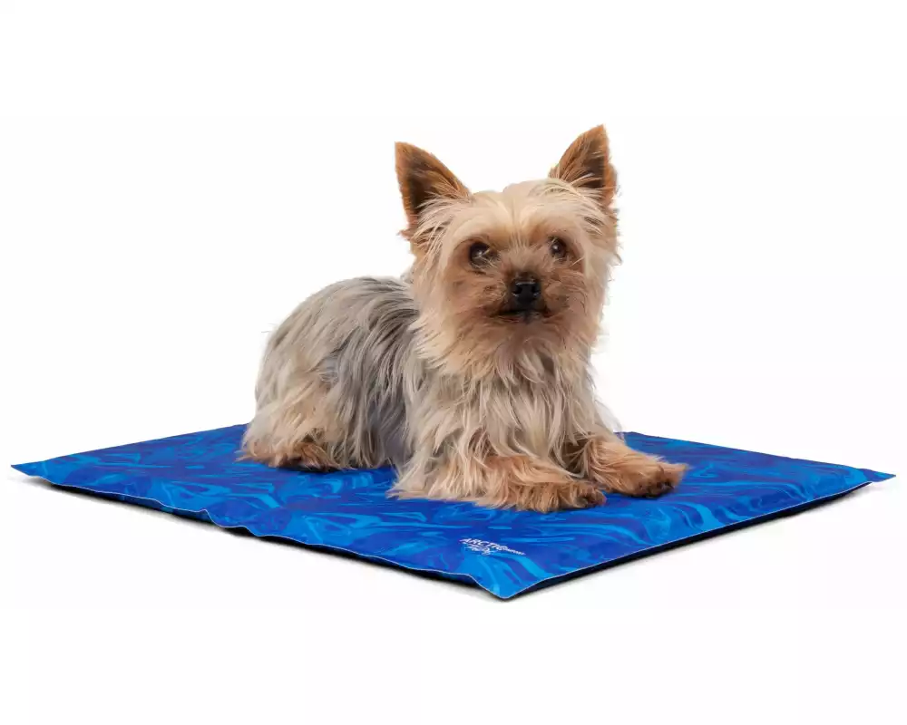 TrendPet Kühlmatte Arctic Comfort 50 x 35 cm