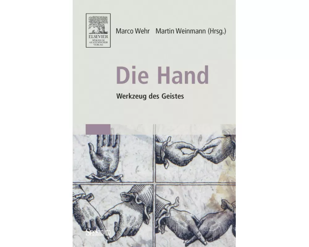 Die Hand - Werkzeug des Geistes