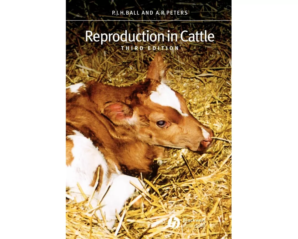Reproduction in Cattle