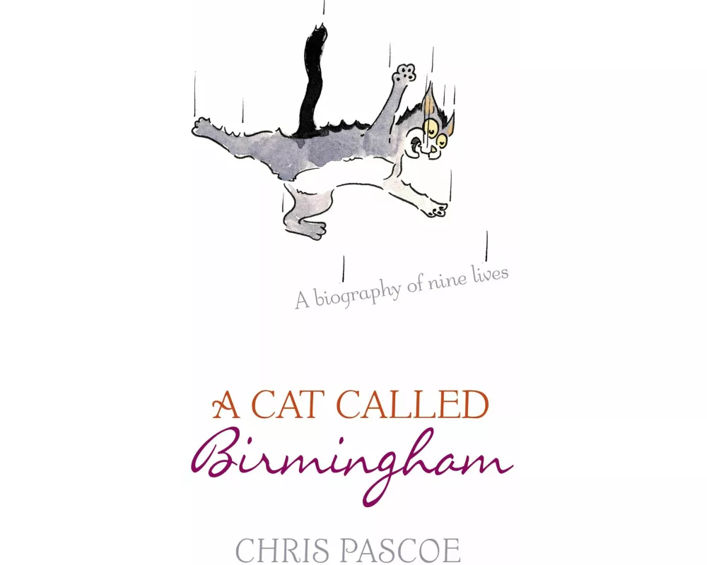 A Cat Called Birmingham