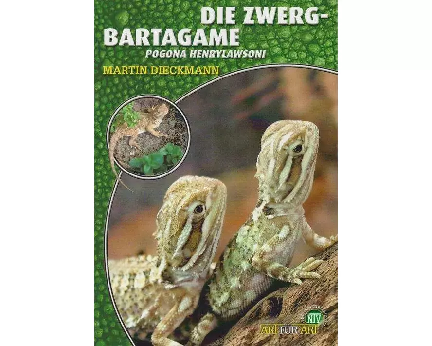 Die Zwergbartagame