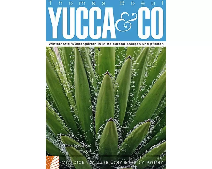 Yucca & Co