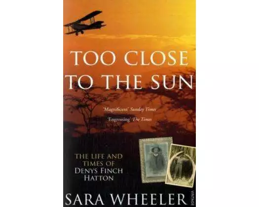 Too Close to the Sun