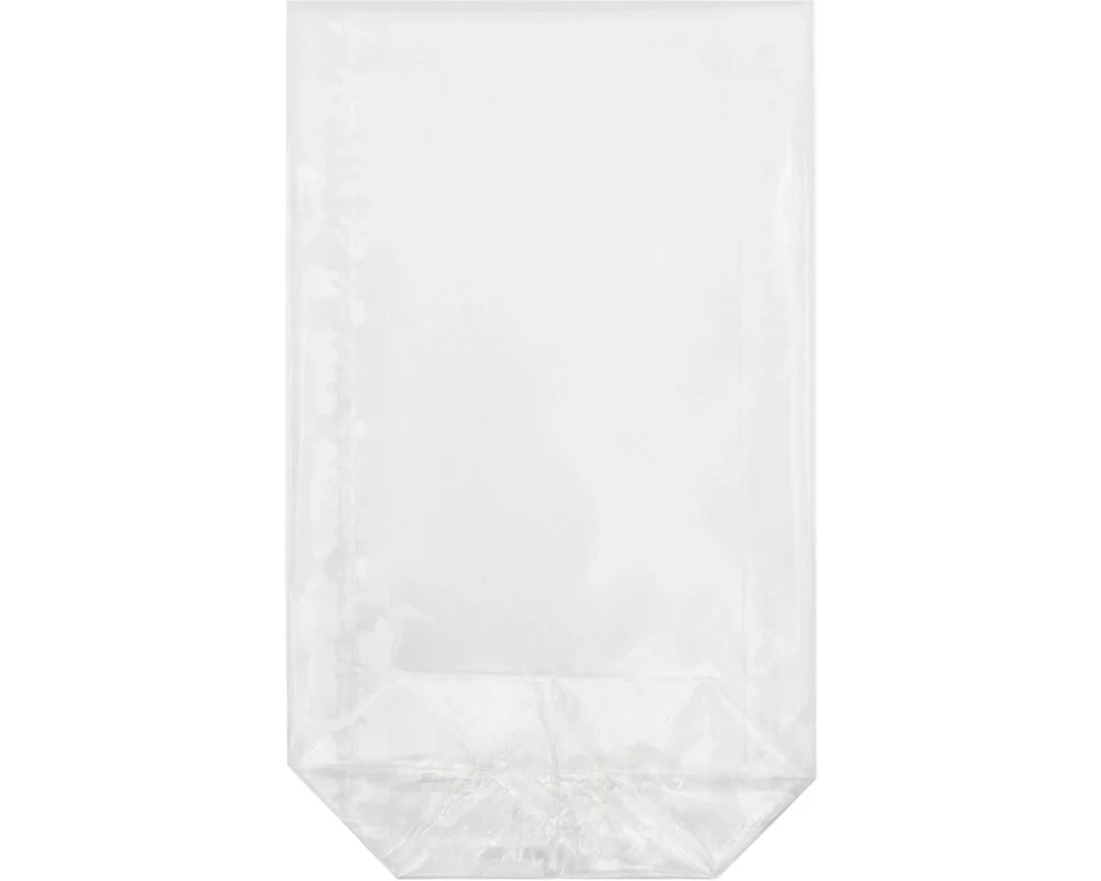 Braun + Company Klarsichttüte 11.5 x 19 cm, 100 Stück, Transparent