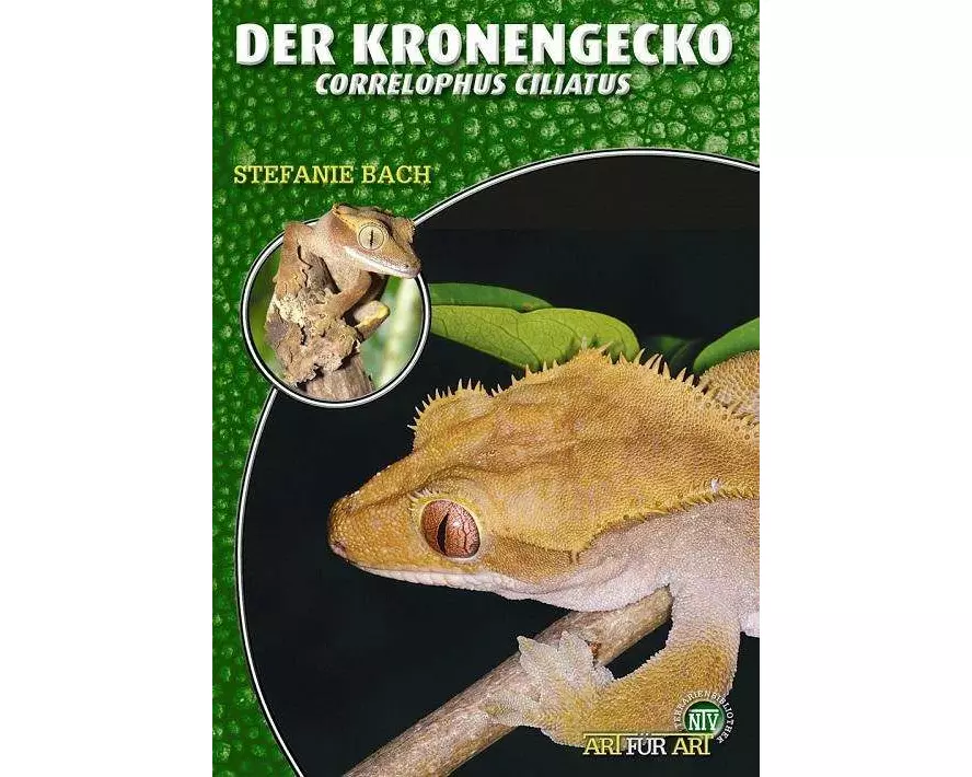 Der Kronengecko