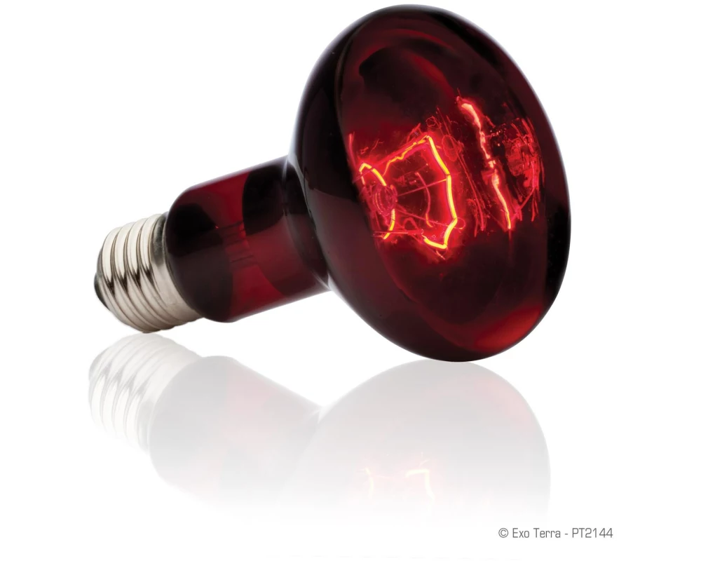 Exo Terra Terrarienlampe Infrared Basking Spot E27, R25/100W
