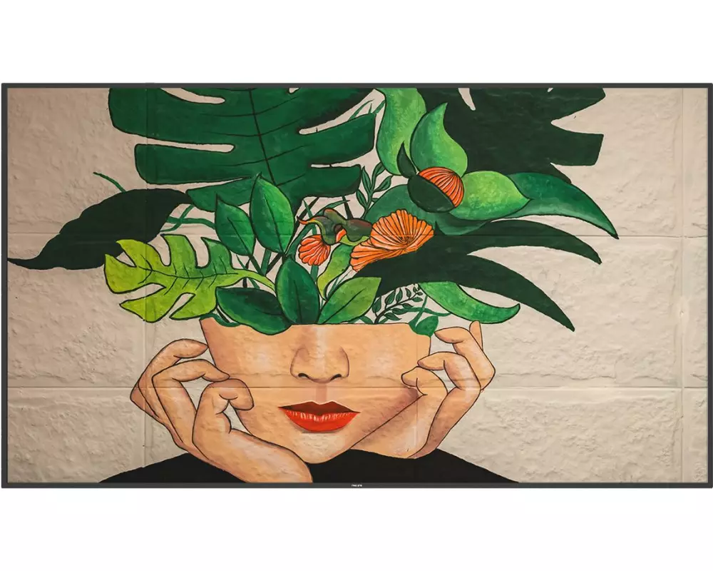 Philips Public Display D-Line 86BDL4511D/00 86 "