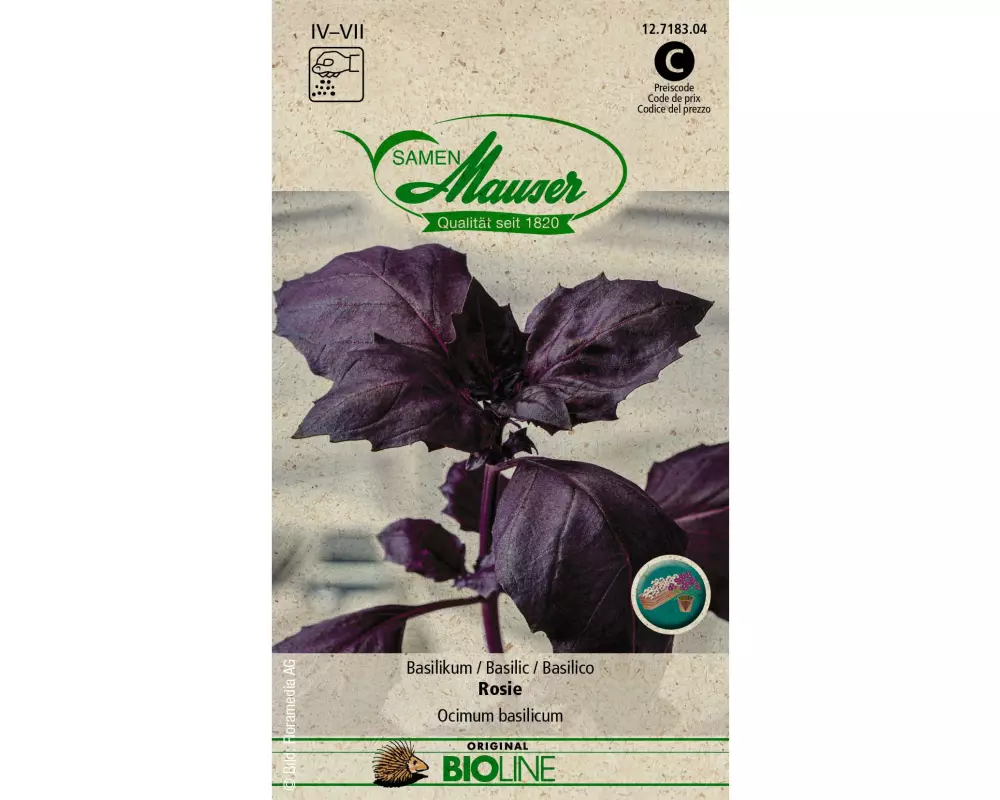 Samen Mauser Samen BIO Basilikum Rosie