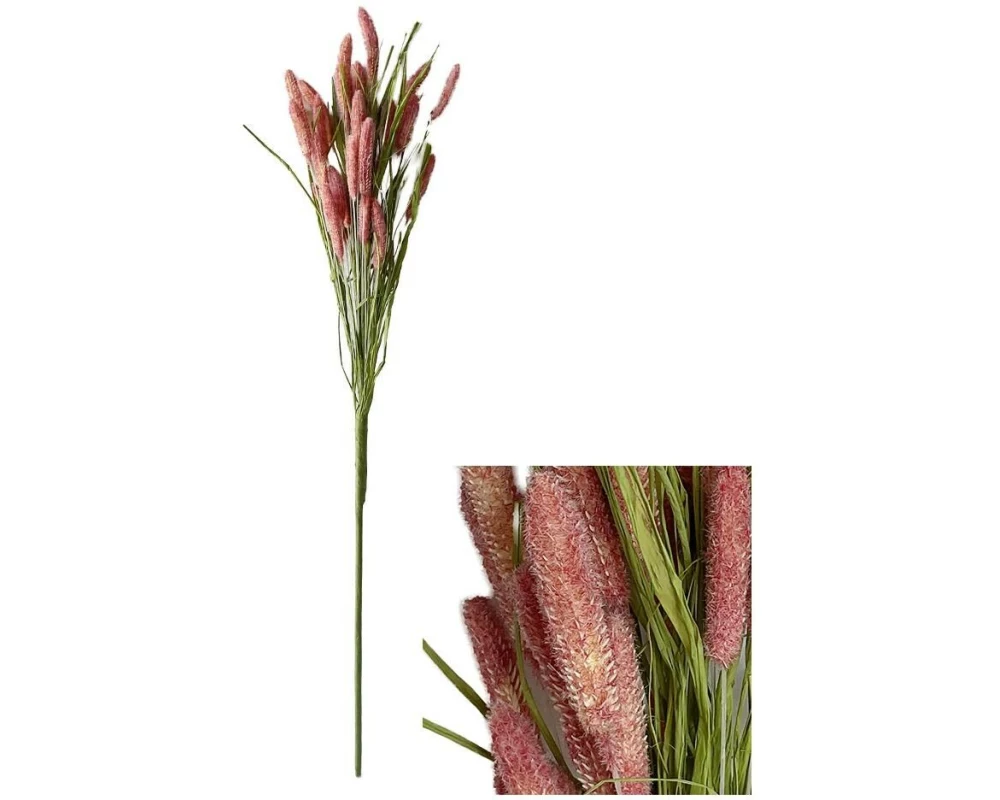CHALET Blumenstiel Setaria 70 cm, Pink