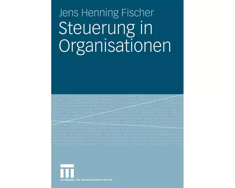 Steuerung in Organisationen