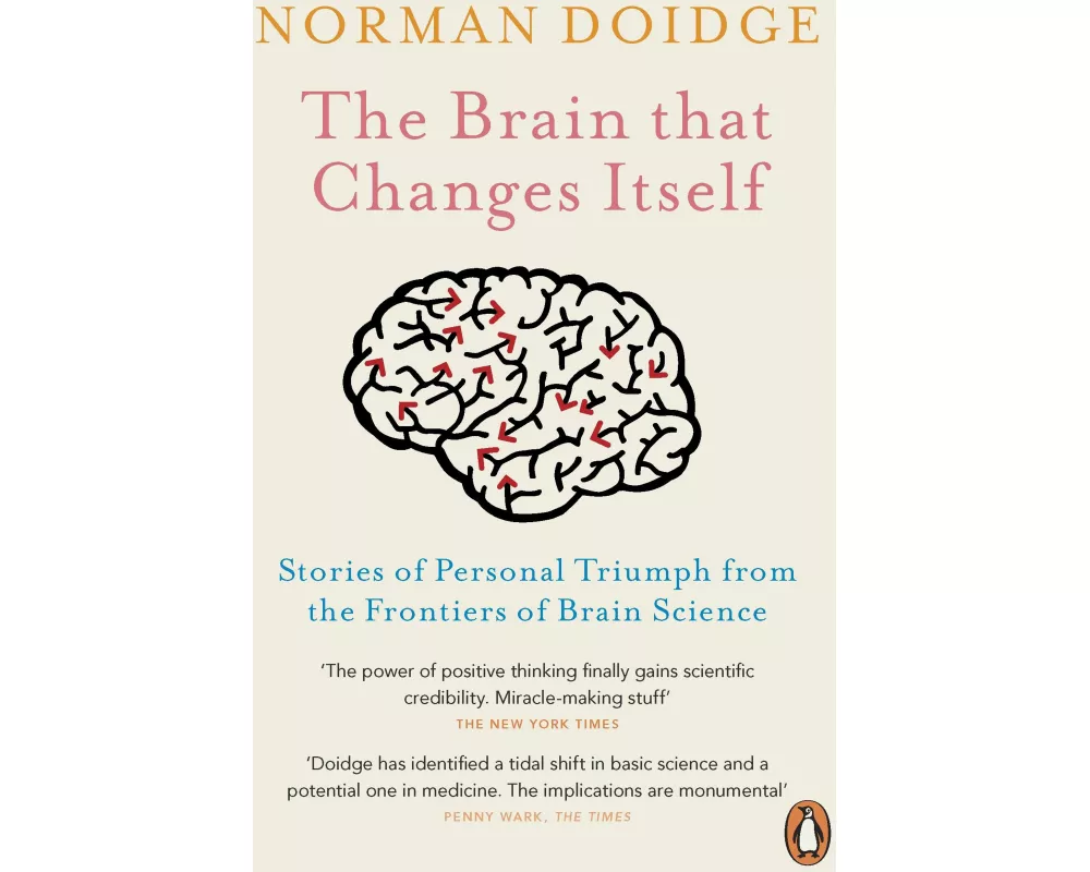 The Brain That Changes Itself