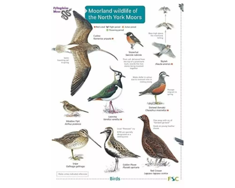 Moorland wildlife of the North York Moors