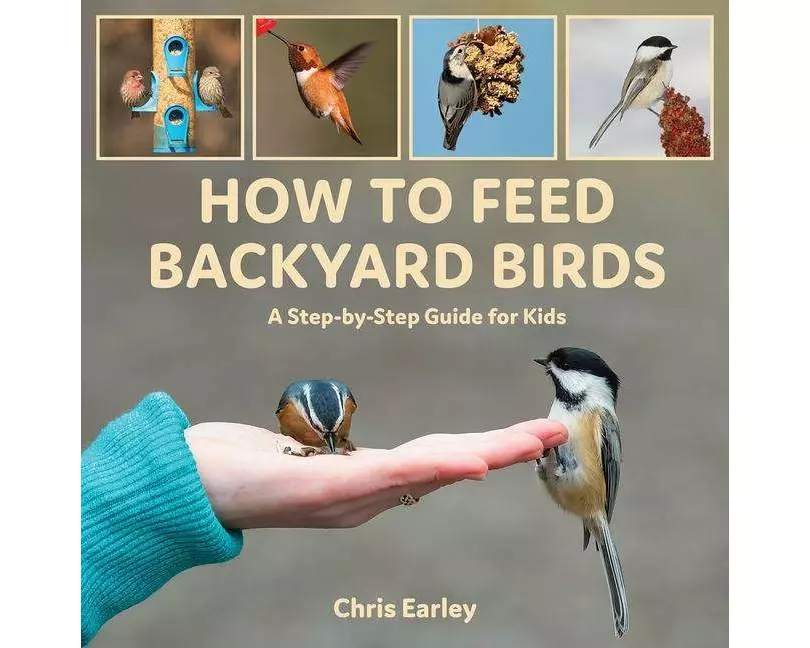 How to Feed Backyard Birds