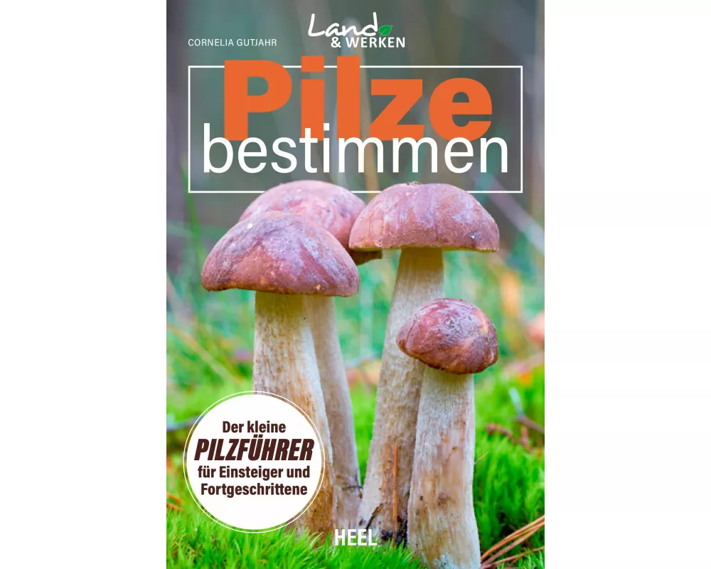 Pilze bestimmen - Der kleine Pilzführer für Einsteiger und Fortgeschrittene