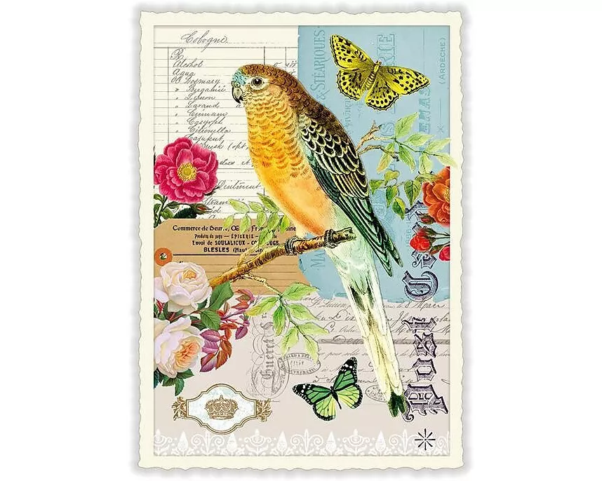 Postkarte / Vogel / hoch / blanko