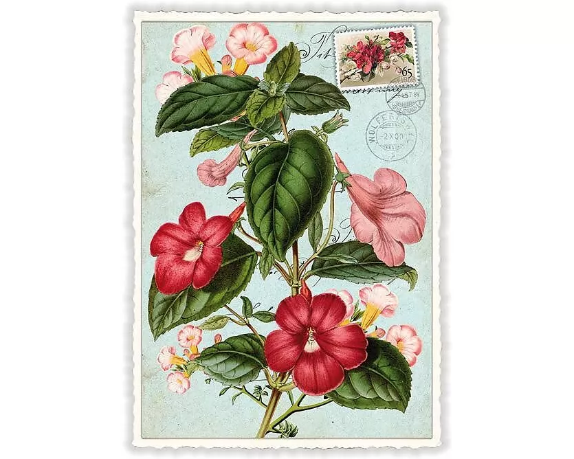 Postkarte / Blumen / blanko