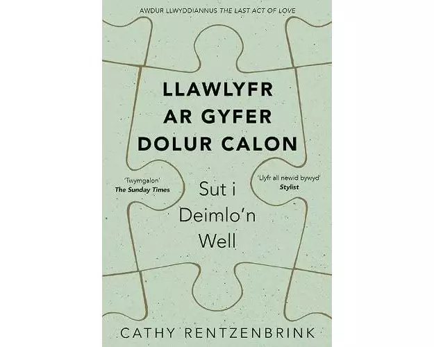 Llawlyfr ar Gyfer Dolur Calon