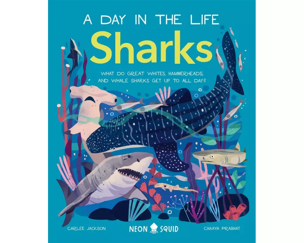 Sharks (A Day in the Life)