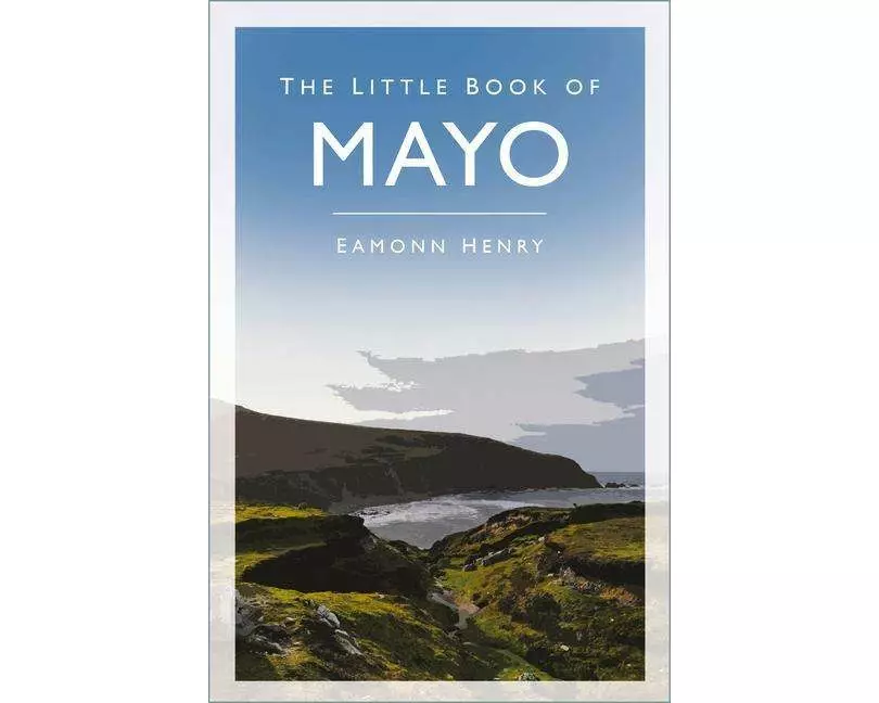 The Little Book of Mayo