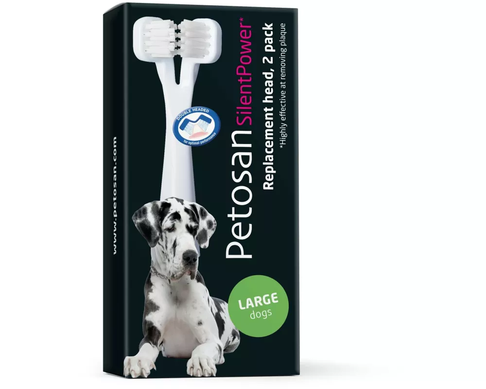 Petosan Zahnreinigung Ersatzbürsten L