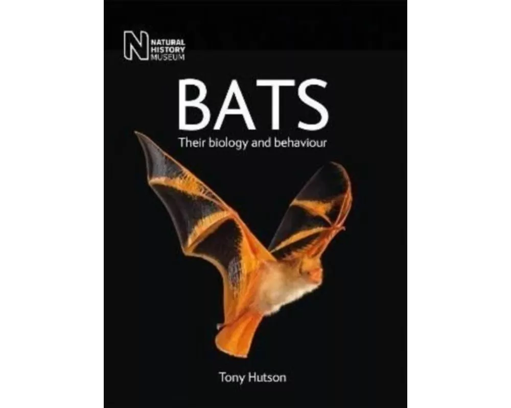 Bats