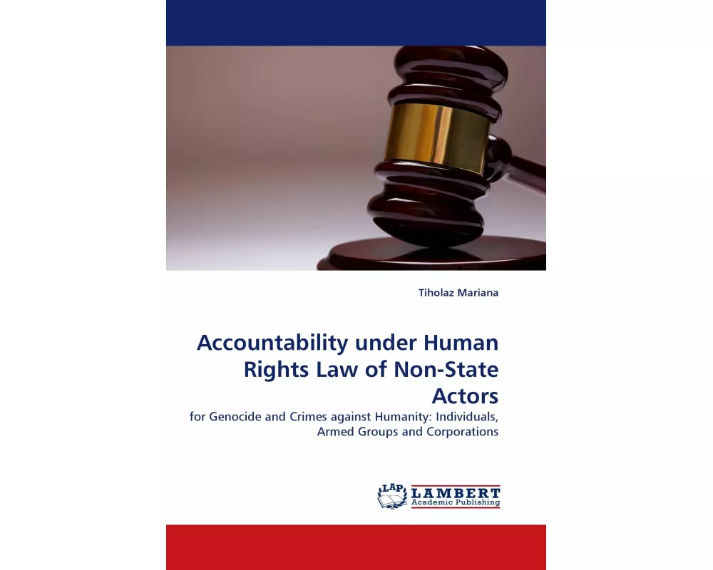 Accountability under Human Rights Law of Non-State Actors