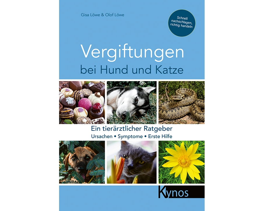 Vergiftungen bei Hund und Katze