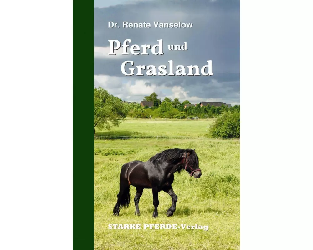 Pferd und Grasland