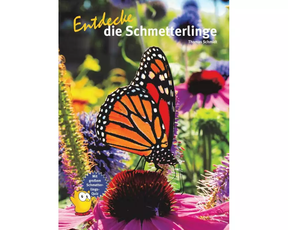 Entdecke die Schmetterlinge