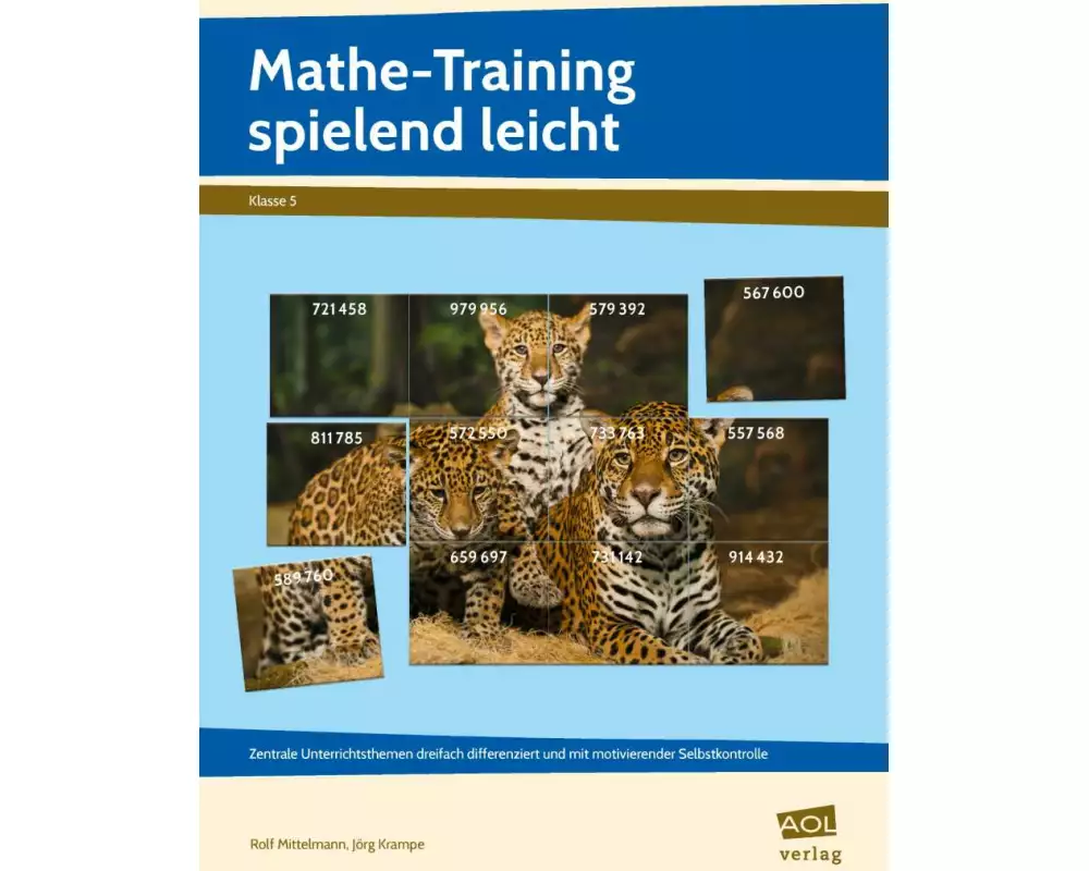 Mathe-Training spielend leicht - 5. Klasse
