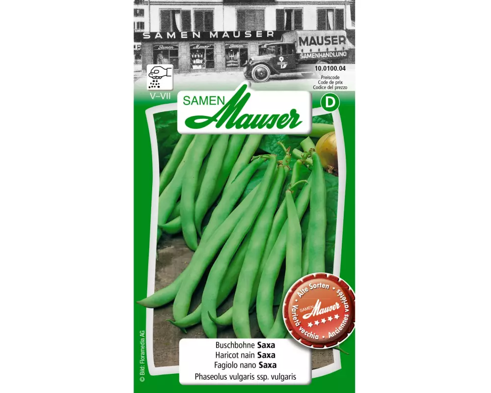 Samen Mauser Samen Alte Sorte Buschbohne Saxa