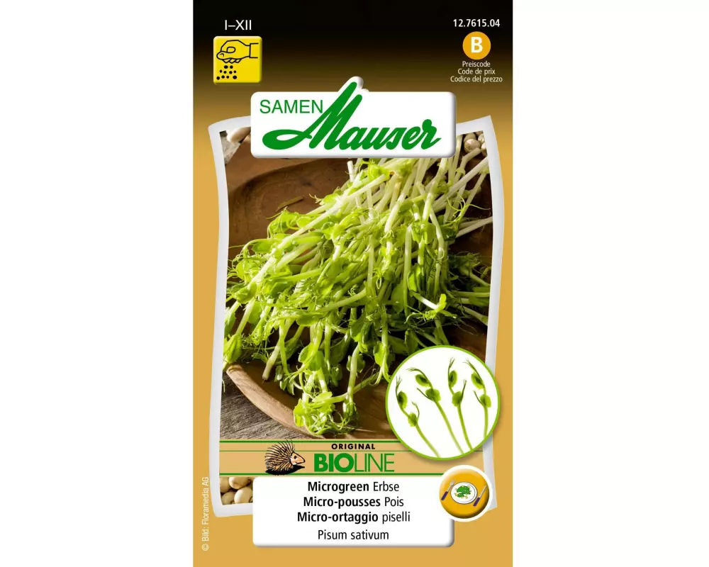 Samen Mauser Samen BIO Microgreen Erbse