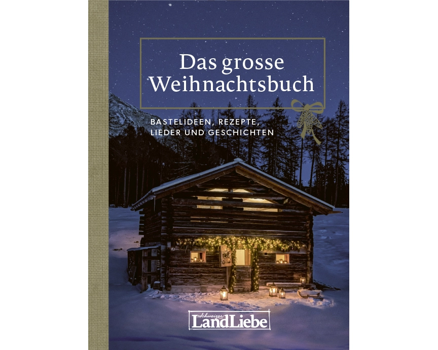 Das grosse Weihnachtsbuch