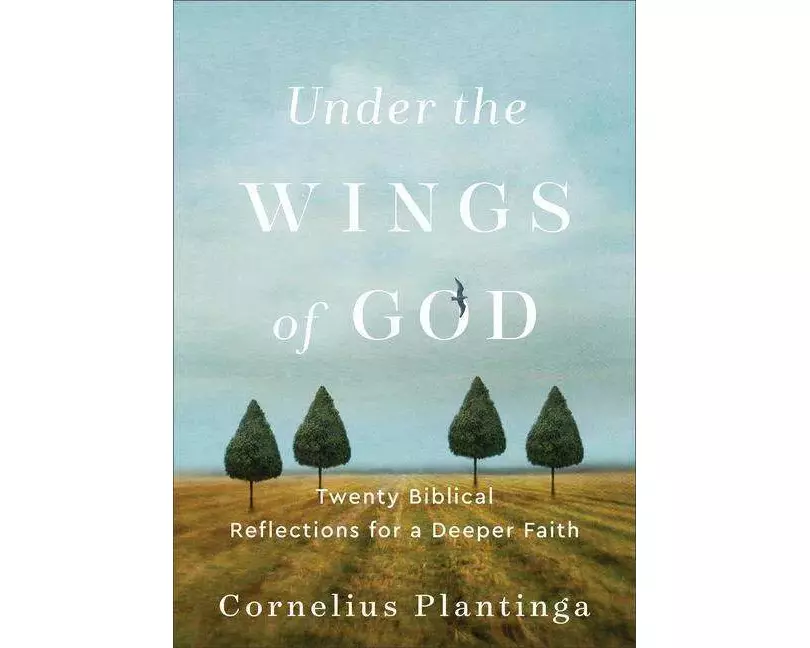Under the Wings of God – Twenty Biblical Reflections for a Deeper Faith
