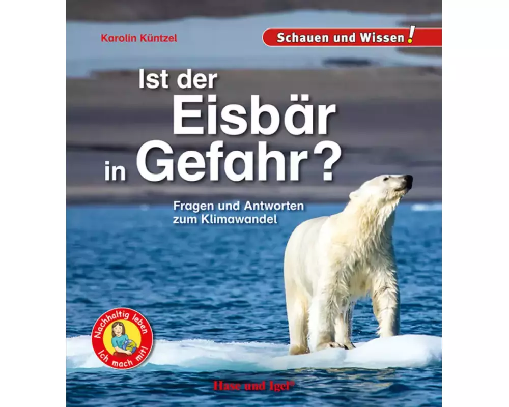 Ist der Eisbär in Gefahr?