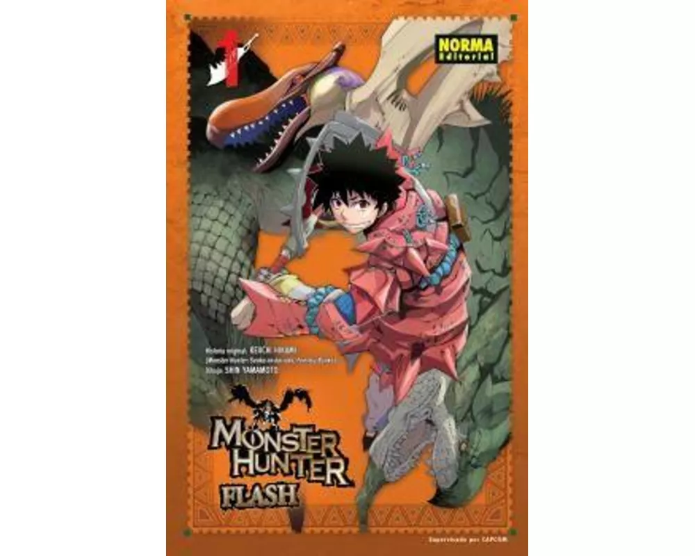 Monster hunter flash 1