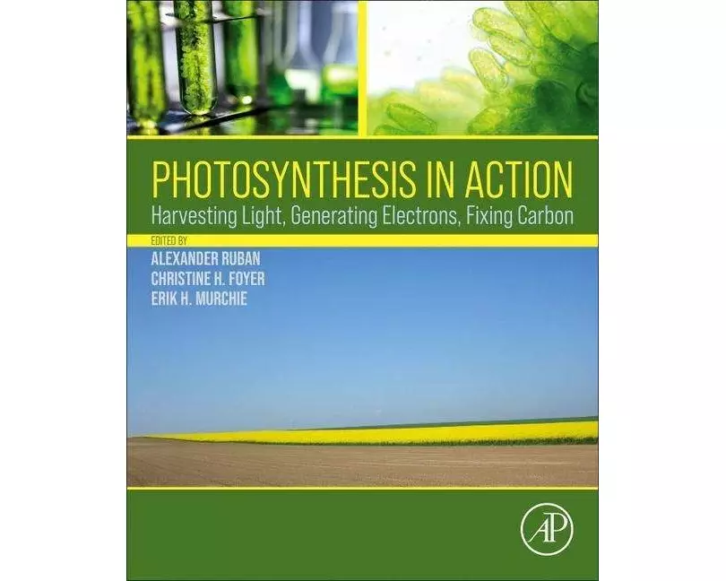 Photosynthesis in Action