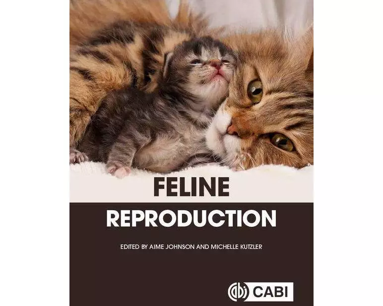 Feline Reproduction