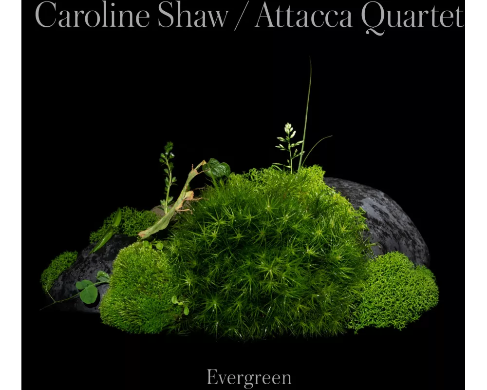 Caroline Shaw:Evergreen