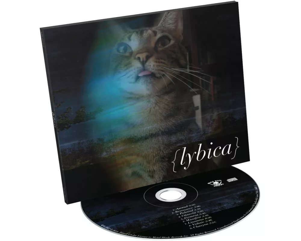 Lybica