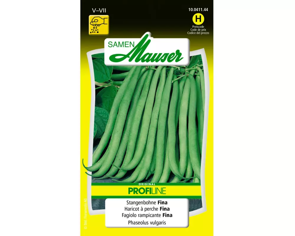 Samen Mauser Samen Profiline Stangenbohne Fina