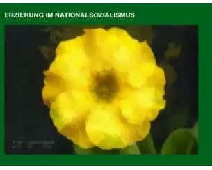 Erziehung im Nationalsozialismus