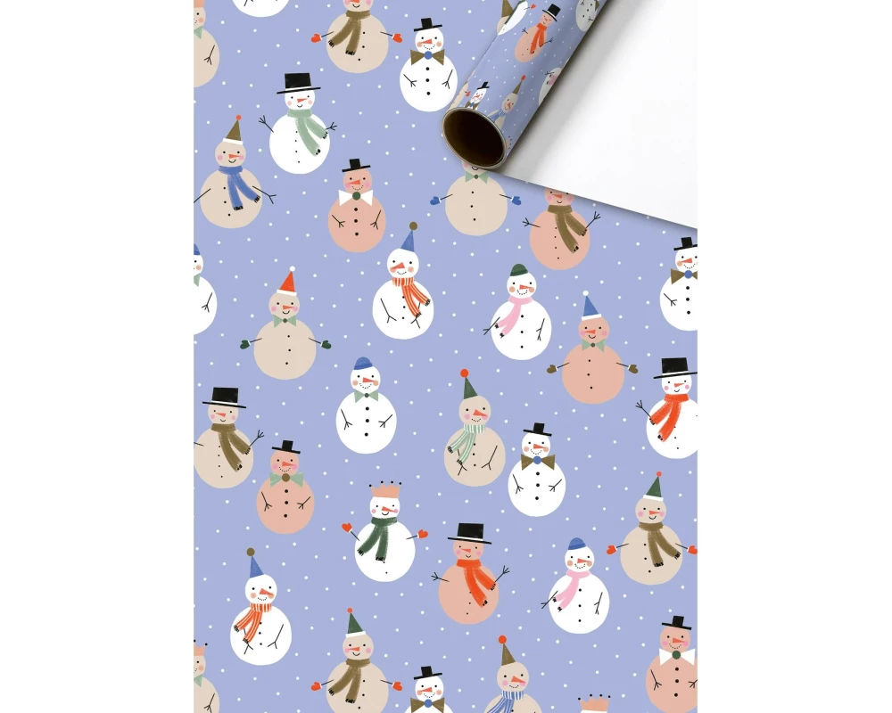 Stewo Geschenkpapier Ala | 70 cm × 2 m, 80 g/m², hellblau