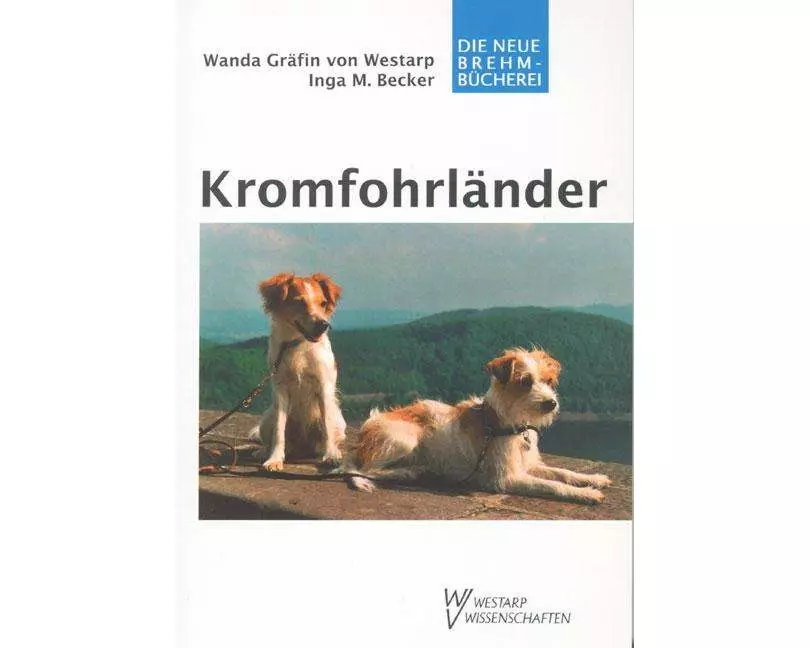 Kromfohrländer