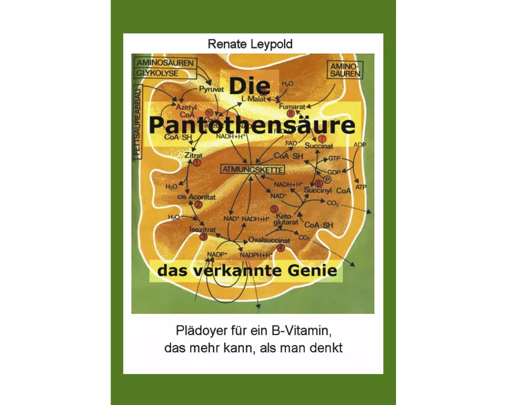 Die Pantothensäure - das verkannte Genie