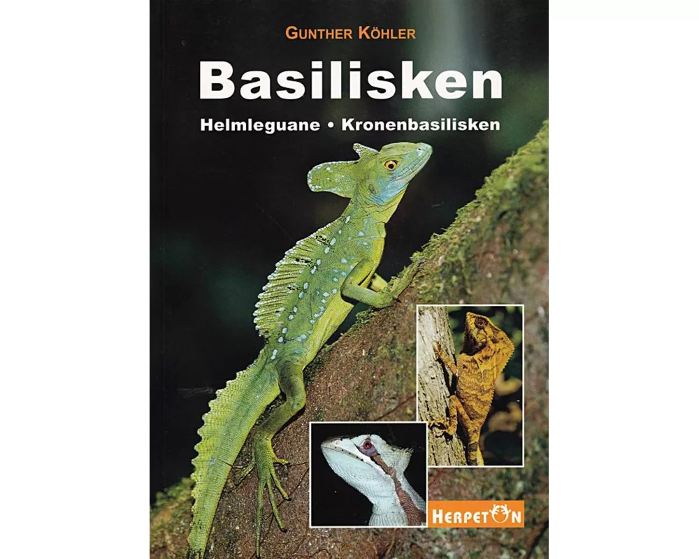 Basilisken, Helmleguane, Kronenbasilisken